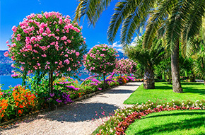 Mt. Vesuvius, Pompeii