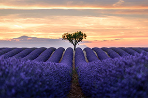 Mt. Vesuvius, Pompeii