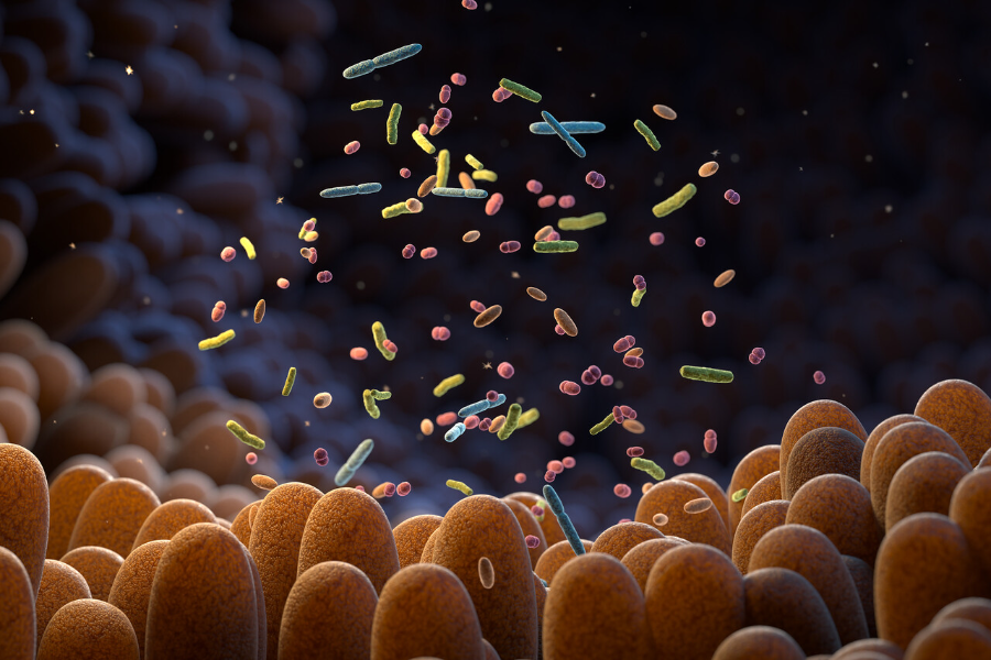 A New Method for Delivering IBD Meds Is in the Works