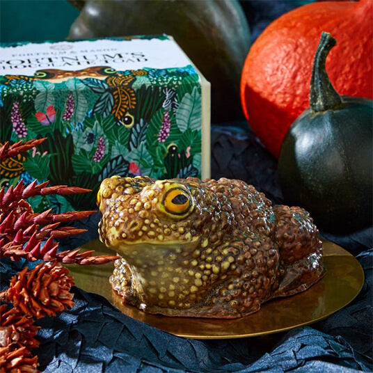 Uncommon Chocolate Toad