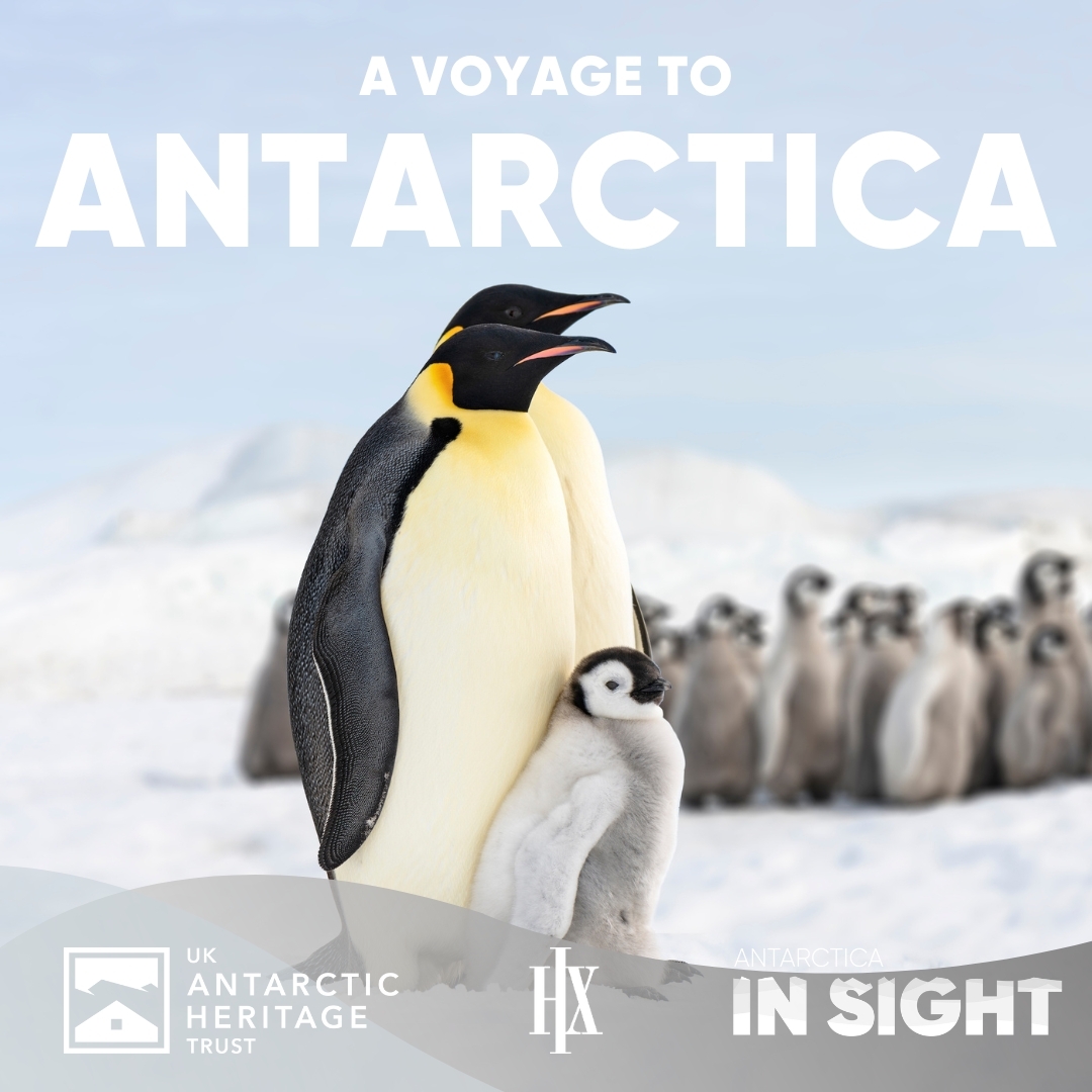 A voyage to Antarctica