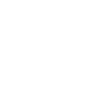 The Guardian